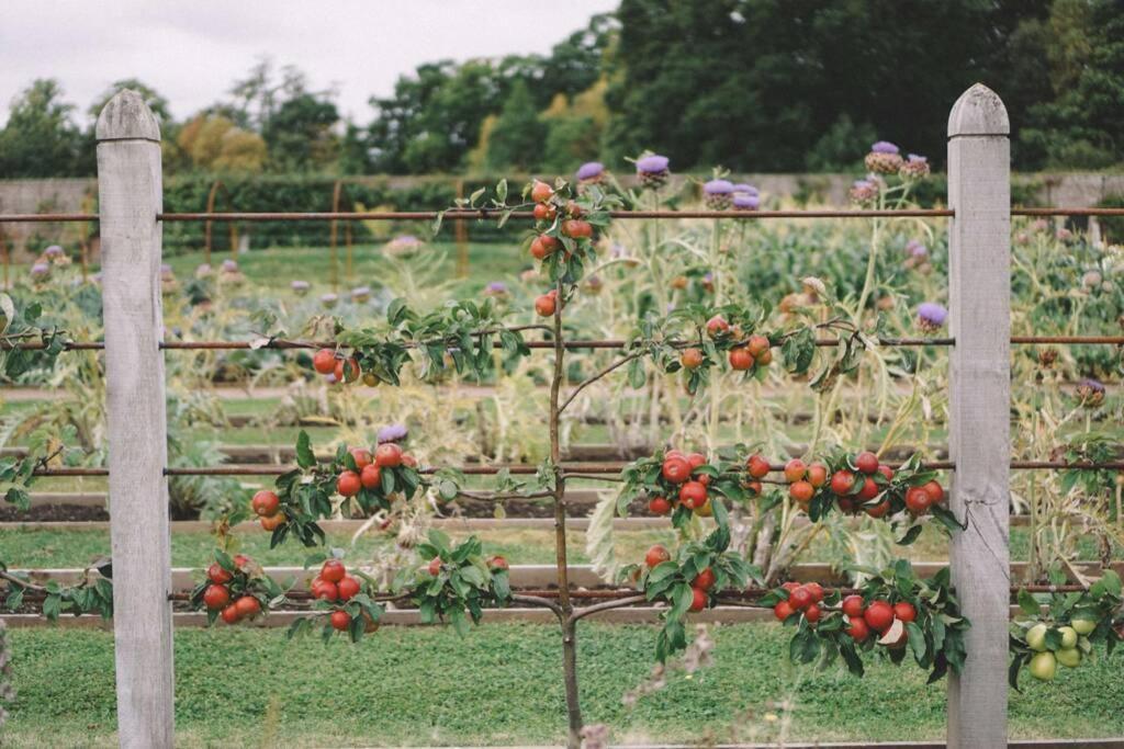 Garden Cottage, Fochabers Ngoại thất bức ảnh